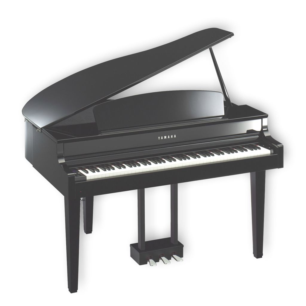 Instrumente Muzicale Instrumente Muzicale